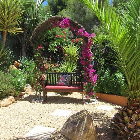 מוריירה Villa Mimosa מראה חיצוני תמונה