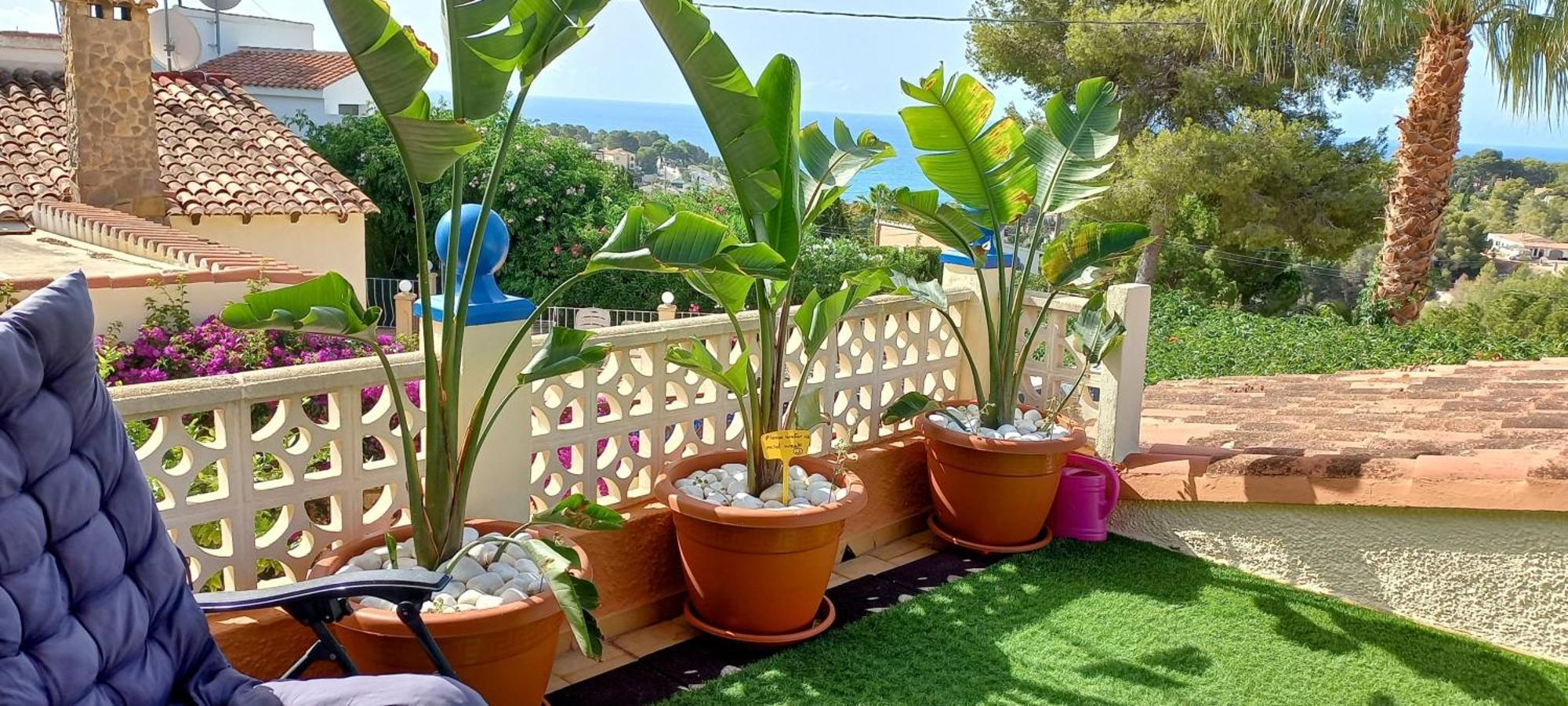 מוריירה Villa Mimosa מראה חיצוני תמונה